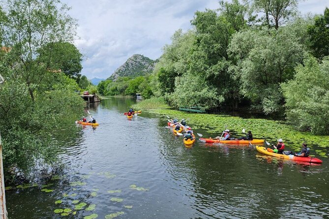 Skadar Lake on kayaks Experience with Spectacular Views - Birds, water lilies, and the best season to go