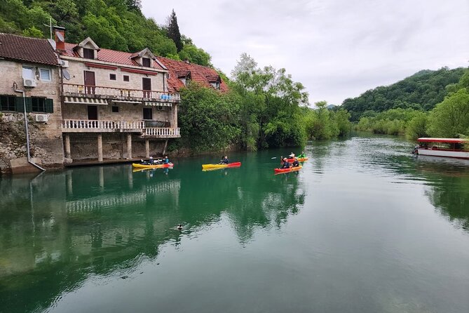 Skadar Lake on kayaks Experience with Spectacular Views - Food, breaks, and what to bring