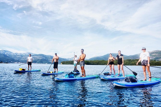 Stand-Up-Paddle Board at Bay of Kotor from Tivat or Kotor - Swim breaks and time to relax
