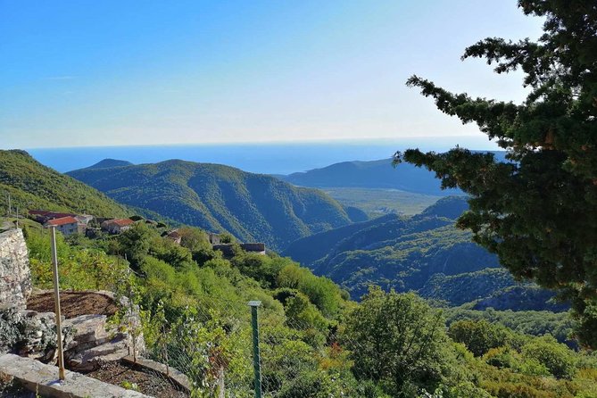 Unique gastro experience with locals in high hills above Budva! - Why this trip gets you beyond Budva’s beach strip