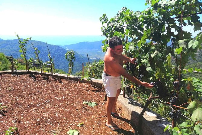 Unique gastro experience with locals in high hills above Budva! - Is four hours enough?