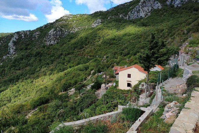 Unique gastro experience with locals in high hills above Budva! - The drive above Budva and the first coastal views