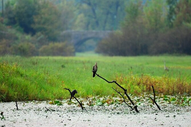 Virpazar Skadar Lake National Park Guided Boat Tour - What the $26.41 price really covers