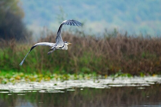 Virpazar Skadar Lake National Park Guided Boat Tour - Small groups and dependable operation