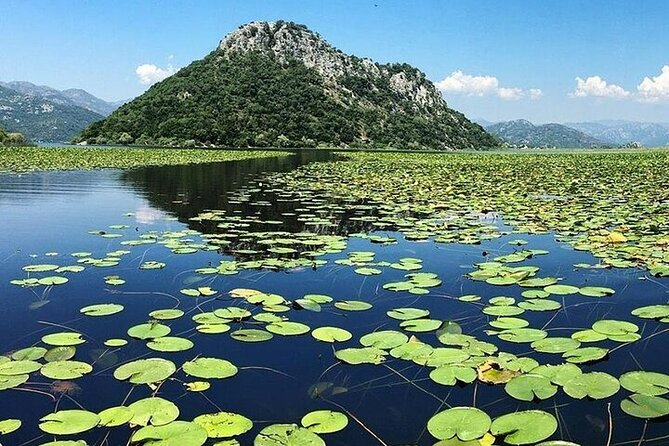 Virpazar Skadar Lake National Park Guided Boat Tour - Through Virpazar’s green river channel