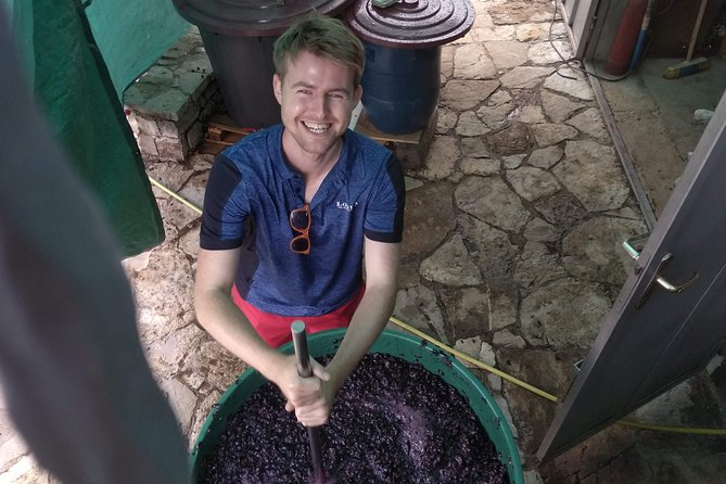 Wine tasting and magical tour from Kotor, Budva, Tivat (Lovcen,Skadar lake) - Lovcen National Park and the high-country views