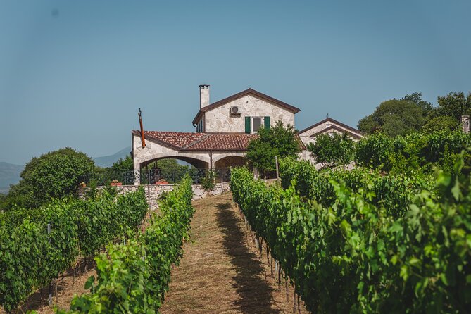 Wine tour- Family winery visit, food tasting & Skadar Lake boat cruise - Why this Podgorica day trip works